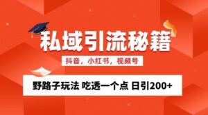 私域流量的精准化获客方法 野路子玩法 吃透一个点 日引200+ 【揭秘】-网创资源
