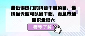 最近很热门的抖音千粉项目，最快当天就可以到干粉，而且市场需求量很大-网创资源
