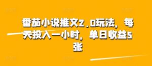 番茄小说推文2.0玩法，每天投入一小时，单日收益5张-网创资源
