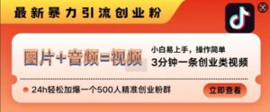 抖音最新暴力引流创业粉，3分钟一条创业类视频，24h轻松加爆一个500人精准创业粉群【揭秘】-网创资源