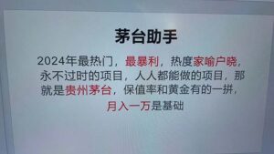 （12990期）魔法贵州茅台代理，永不淘汰的项目，抛开传统玩法，使用科技，命中率极…-网创资源