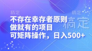 （12989期）不存在幸存者原则，做就有的项目，可矩阵操作，日入500+-网创资源