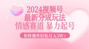 （12922期）2024最新视频号分成玩法，情感赛道，暴力起号，矩阵操作轻松月入3W+-网创资源