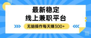 （12893期）揭秘稳定的线上兼职平台，无脑操作每天赚300+-网创资源