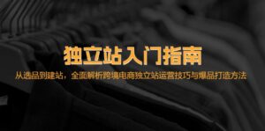 （12882期）独立站入门指南：从选品到建站，全面解析跨境电商独立站运营技巧与爆品…-网创资源