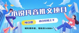 小说抖音推文项目，纯自撸，小白轻松上手，矩形操作后，轻松日入几张-网创资源