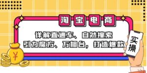 （12814期）2024淘宝电商课程：详解直通车、自然搜索、引力魔方、万相台，打造爆款-网创资源