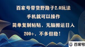 （12804期）百家号带货野路子2.0玩法，手机就可以操作，简单复制粘贴，无脑搬运日…-网创资源