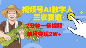 视频号AI数字人玩转三农赛道，2分钟一条视频，单月变现2W+-网创资源