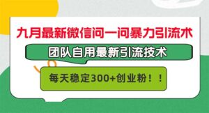 （12735期）九月最新微信问一问暴力引流术，团队自用引流术，每天稳定300+创…-网创资源