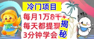 冷门项目，这个方法一定要学会，内部教程，每月1w(揭秘)-网创资源