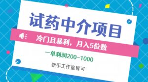 （12652期）冷门且暴利的试药中介项目，一单利润200~1000，月入五位数，小白工作室…-网创资源