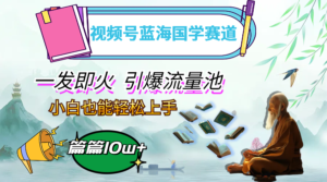 （12636期）视频号蓝海国学赛道，一发即火，引爆流量池，小白也能轻松上手，月入过万-网创资源