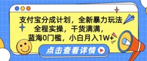 蓝海0门槛，支付宝分成计划，全新暴力玩法，全程实操，干货满满，小白月入1W+-网创资源