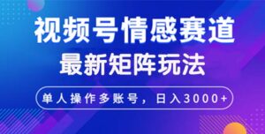 （12609期）视频号创作者分成情感赛道最新矩阵玩法日入3000+-网创资源
