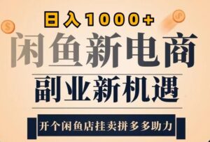 2024闲鱼虚拟升级玩法，实操落地项目，日入几张-网创资源