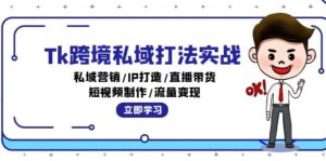 （12598期）Tk跨境私域打法实战：私域营销/IP打造/直播带货/短视频制作/流量变现-网创资源