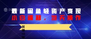 最新闲鱼轻资产变现，纯小白福利，当天操作，就赚10陪以上差价-网创资源