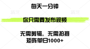 （12538期）矩阵单日1000+，你只需要发布视频，用时一分钟，无需剪辑，无需拍摄-网创资源