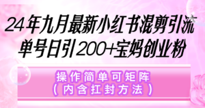 （12530期）小红书混剪引流，单号日引200+宝妈创业粉，操作简单可矩阵（内含扛封…-网创资源