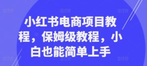 小红书电商项目教程，保姆级教程，小白也能简单上手-网创资源