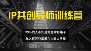 （12504期）IP共创导师训练营 99%的人不知道的生财野路子 只掌握在少数人手里-网创资源
