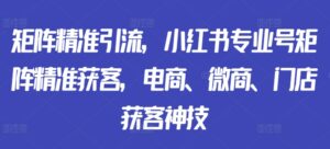 矩阵精准引流，小红书专业号矩阵精准获客，电商、微商、门店获客神技-网创资源