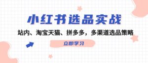 （12443期）小红书选品实战：站内、淘宝天猫、拼多多，多渠道选品策略-网创资源