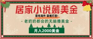 居家小说薅美金，拆解海外撸美金项目月入2000美刀详细指导-网创资源