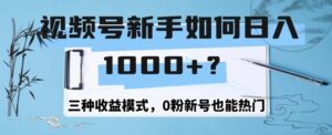 视频号新手如何日入1k？三种收益模式，0粉新号也能热门-网创资源