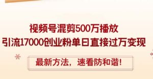 （12391期）精华帖视频号混剪500万播放引流17000创业粉，单日直接过万变现，最新方…-网创资源