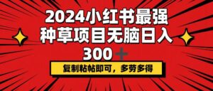 （12336期）2024小红书最强种草项目，无脑日入300+，复制粘帖即可，多劳多得-网创资源