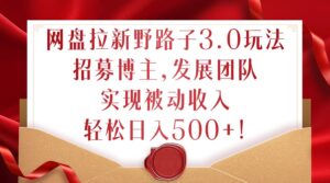 网盘拉新野路子3.0玩法，招募博主，发展团队，实现被动收入，轻松日入500+【揭秘】-网创资源