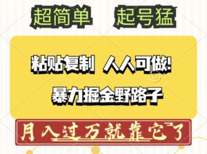 （12298期）头条号暴力掘金野路子玩法，人人可做！100%原创爆文-网创资源