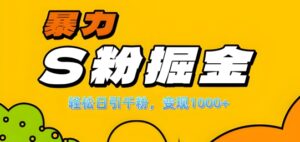 单人单机日引千粉，变现1k+，S粉流量掘金计划攻略【揭秘】-网创资源
