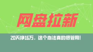（12294期）网盘拉新+私域运营玩法，零基础入门，小白可操作，当天见效，日入5000+-网创资源