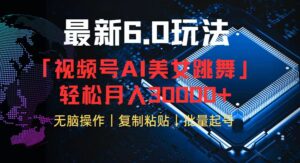 （12293期）视频号6.0最新玩法AI美女跳舞，轻松月入30000+-网创资源