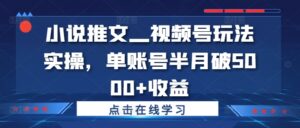 小说推文—视频号玩法实操，单账号半月破5000+收益-网创资源