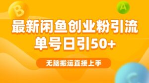 2024闲鱼最新引流玩法搬运模式，无脑操作，单号日引50+创业粉，可矩阵-网创资源