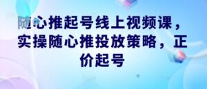 随心推起号线上视频课，实操随心推投放策略，正价起号-网创资源