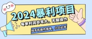 （12130期）2024暴利项目，每单利润非常大，无脑操作，纯手机操作简单，小白必学项目-网创资源