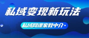 （12089期）私域变现新玩法，网课家教中介，只做渠道和流量，让大学生给你打工、0…-网创资源