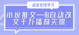 小说推文—AI自动改文千万播放实操-网创资源