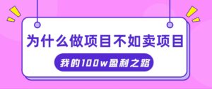 （11893期）把握住网络创业风口期，我通过卖项目轻轻松松获得100W-网创资源