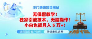 （11864期）冷门赚钱项目无保留教学！独家引流技术，无脑操作！小白也能月入5万+！-网创资源