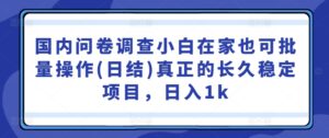 国内问卷调查小白在家也可批量操作(日结)真正的长久稳定项目，日入1k【揭秘】-网创资源