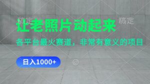 （11671期）让老照片动起来，一天转现1000 ，各个平台最红跑道，看了便会-网创资源