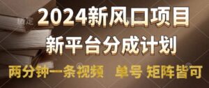 2024风口项目，新平台分成计划，两分钟一条视频，单号 矩阵皆可操作轻松上手月入9000+-网创资源