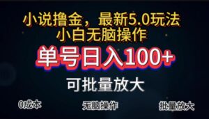 （11651期）自动式小说集撸金，运单号日入100 新手快速上手，没脑子实际操作-网创资源
