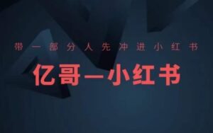 ​​带一部分人先冲进小红书，小红书开店、选品、爆款裂变-网创资源
